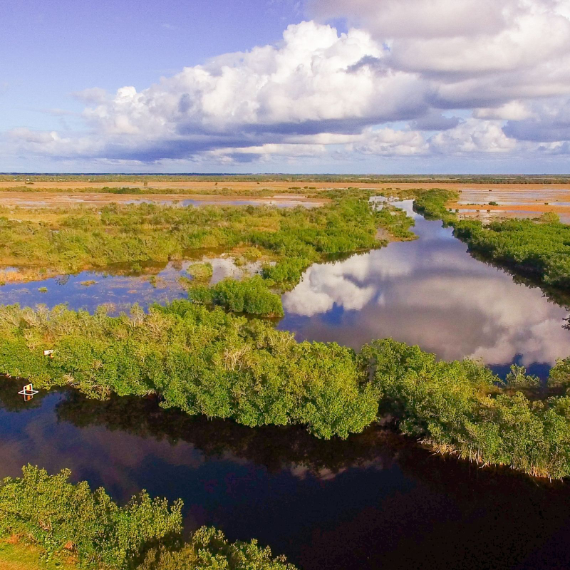 cubre inmobiliaria Florida 2025